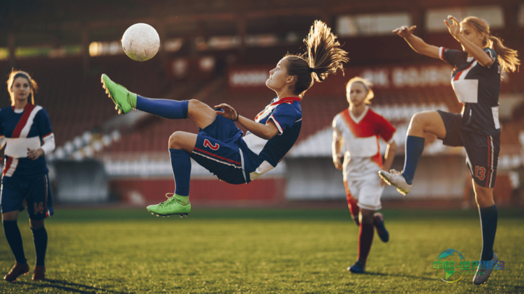 专访：从种子到规格，打造可追溯的植物解决方案——新加坡城国际亚洲营养保健食品展览会