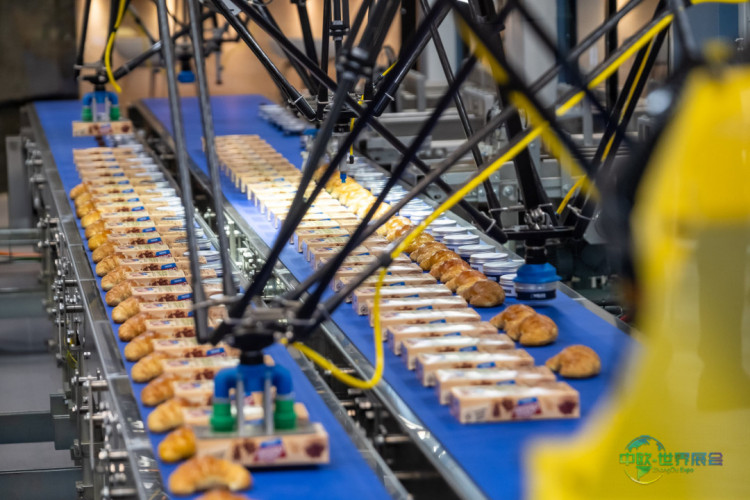 德国纽伦堡包装展：包装机械自动化趋势