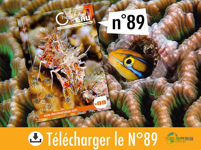 2027巴黎潜水沙龙展会预告及潜水杂志新刊上线——法国国际海洋沙龙