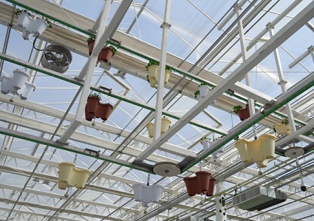 新疆农业博览园（昌吉）会展中心图片