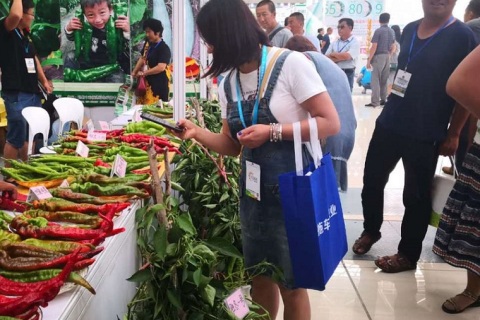 新疆（昌吉）种子展示交易会展会现场图片