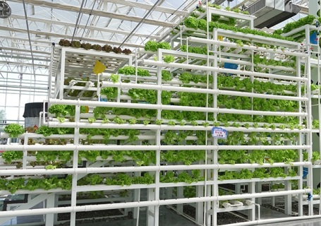 新疆农业博览园（昌吉）会展中心图片