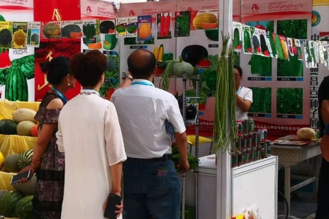 新疆（昌吉）种子展示交易会展会现场图片