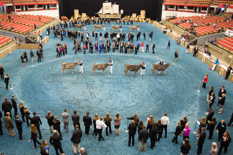 世界（美国）乳业展览会展会现场图片