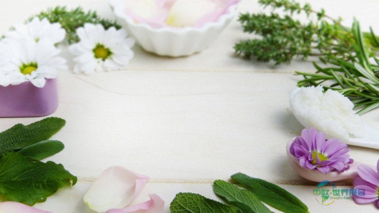 2026巴塞罗那有机展：认证有机化妆品增长，警惕大品牌