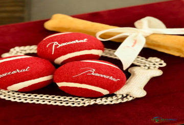 纽约巴卡拉酒店：钻石成狗狗挚友