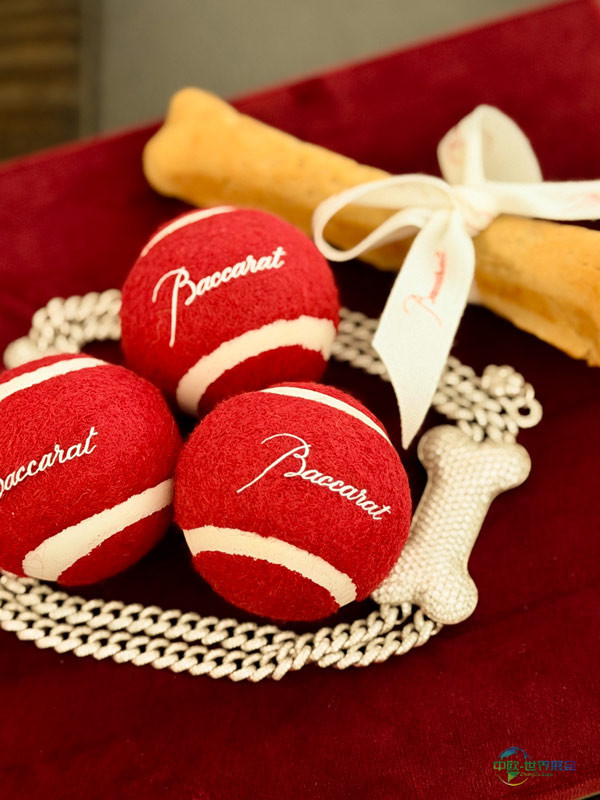 巴卡拉犬类高级定制