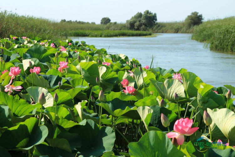 2026哈萨克斯坦阿拉木图国际旅游展：阿特劳州文旅瑰宝亮相