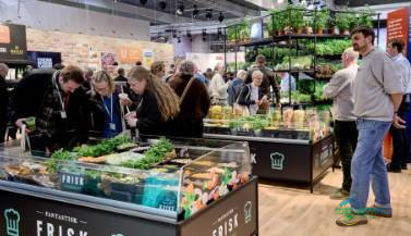 2026年丹麦海宁酒店、餐饮及食品服务展览会：揭晓年度厨师与服务生奖项