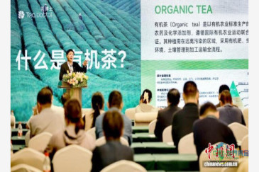 厦门国际春季茶产业博览会五展齐开 助力中国茶业创新发展