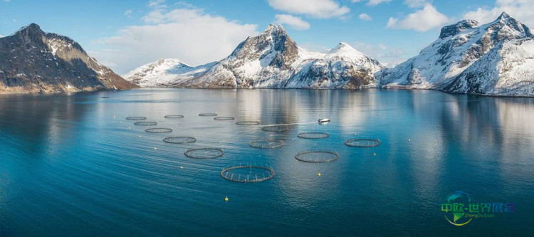 SalMar中期发布会定于Aqua Nor水产展