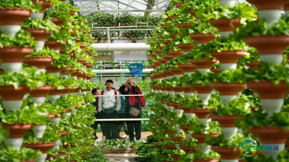 第二十七届中国(寿光)国际蔬菜科技博览会开幕(2)