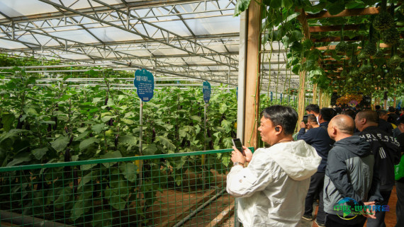 第二十七届中国(寿光)国际蔬菜科技博览会拉开帷幕(5)