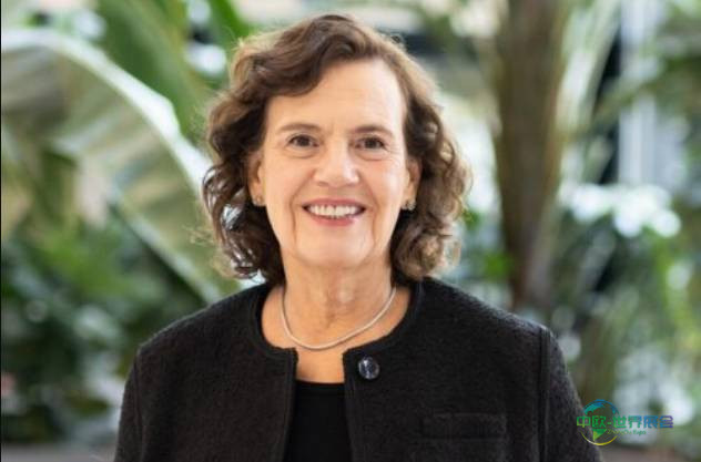 2026年德国杜塞尔多夫国际包装机械、包装及糖果机械展览会：关于职业生涯、变革和行业未来的展望