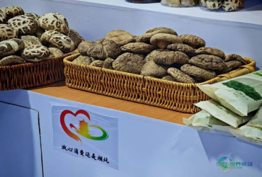 湖北“安心消费天团”消博会上引注目 周黑鸭、劲牌皆登场