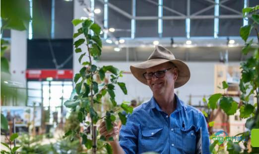 2026年德国慕尼黑国际木业工业技术展览会：展望明日森林