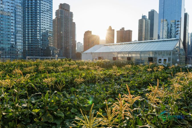 八大场馆地球日环保新举措