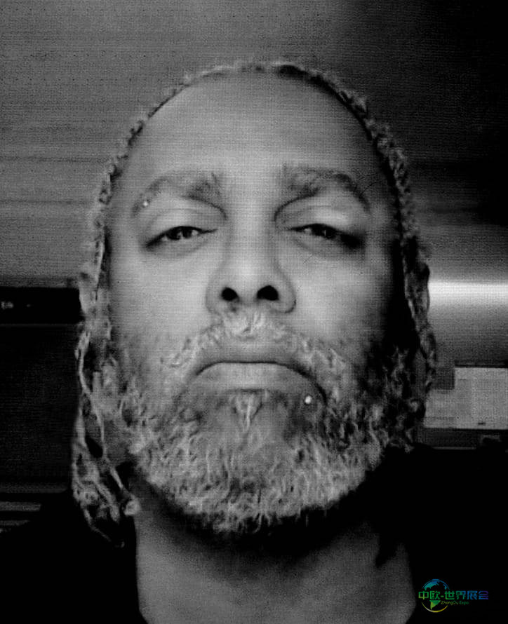 巴塞尔艺术展劳里·安德森等 