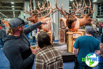 俄罗斯户外展（Hunting and Fishing in Russia）2026观展指南：时间地点及门票价格