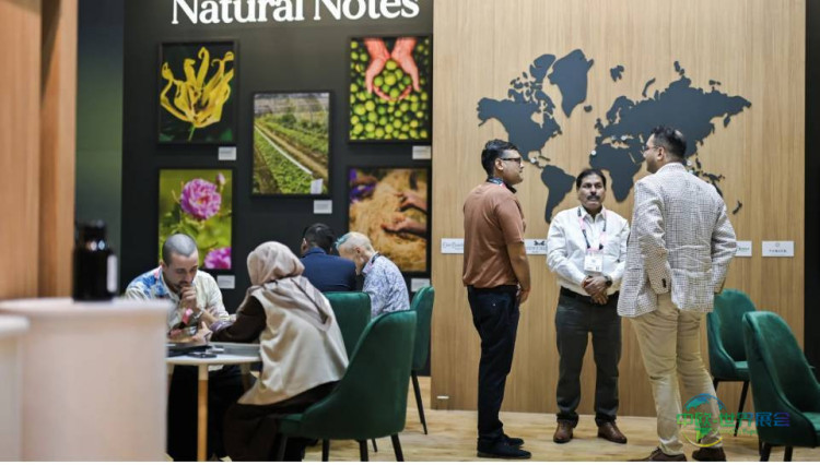 阿拉伯联合酋长国迪拜国际美容展 Beautyworld Middle East 2026引领全球潮流