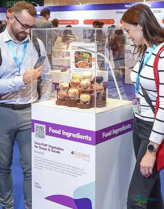 2026年德国法兰克福国际健康食品配料和天然配料展：推动食品创新与可持续发展