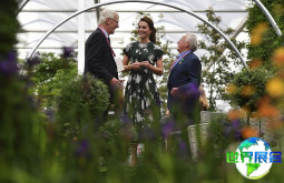 英国切尔西花卉展(RHS Chelsea Flower Show)2026年观展攻略：时间与场地/票价详情