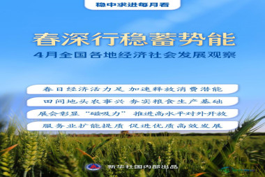 稳中求进每月观察｜春深行稳蓄势能——四月全国各地经济社会发展扫描