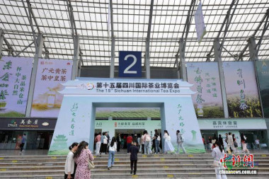 第十五届四川国际茶业博览会吸引众多市民前来参观