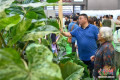 广州：市民周末“打卡”亚洲花卉博览会，尽享悠闲时光