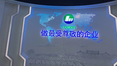 龙蟒集团展厅设计